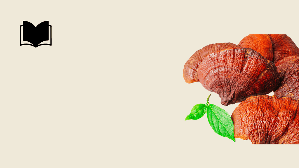 Reishi For Rest: How This Mushroom can Improve your Sleep