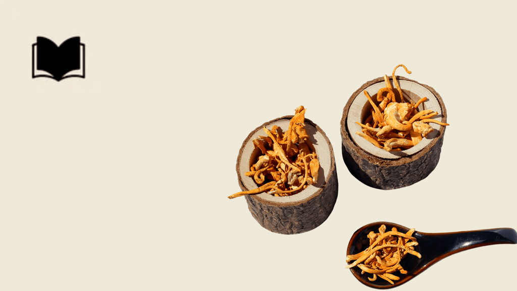 How To Choose The Best Cordyceps Supplements