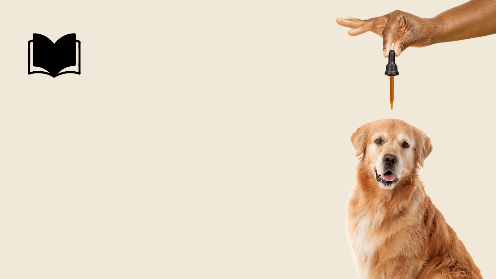 How To Give CBD Oil To Dogs: A Step-By-Step Guide