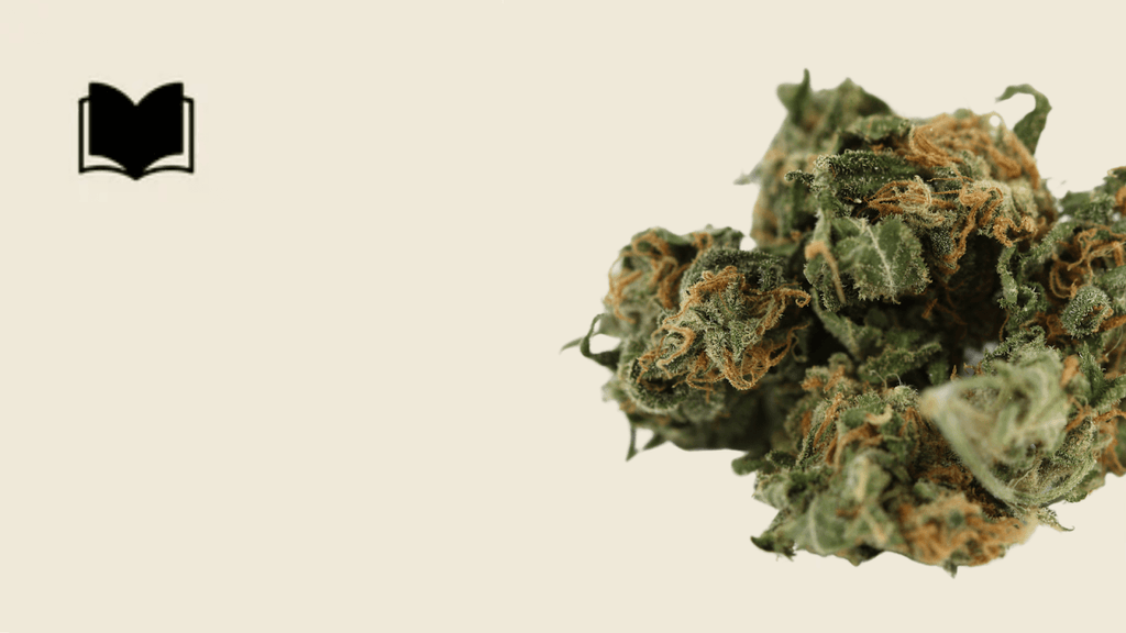 famous weed strains 