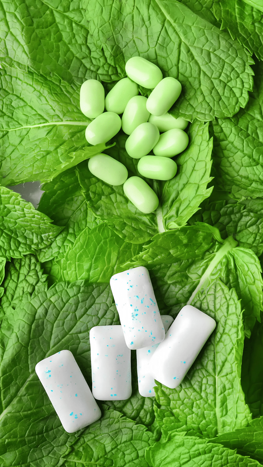 Marijuana Mints – BATCH